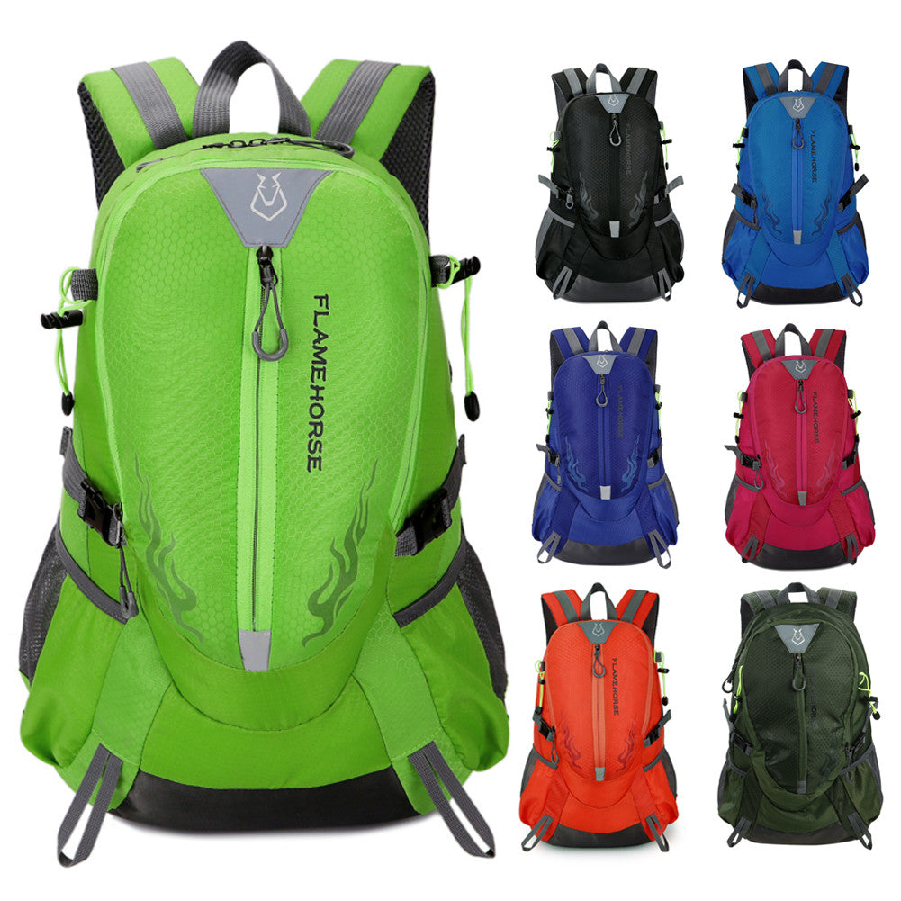 Nylon Men/Women Backpack