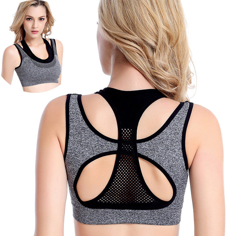 Professional Mesh Fitness