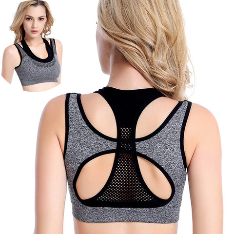 Professional Mesh Fitness
