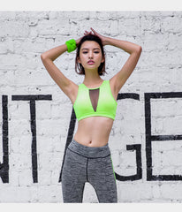 Sports Bra Women Mesh Fitness